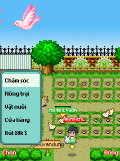 Avatar auto farm z205, Hack avatar, hack xu avatar, hack luong avatar, hack free shop avatar, hack dat avatar